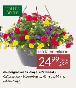 Pflanzen Kölle Kölles beste zauberglöckchen-ampel petticoat Angebot