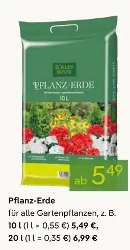 Pflanzen Kölle Pflanz-erde Angebot