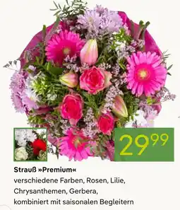 Pflanzen Kölle Strauß premium Angebot