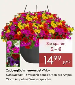 Pflanzen Kölle Zauberglöckchen-ampel trio Angebot