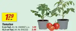 toom Baumarkt Tomaten 9-cm-topf Angebot