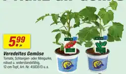 toom Baumarkt Veredeltes südgemüse Angebot
