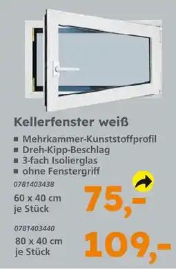 Globus Baumarkt Kellerfenster weiß Angebot