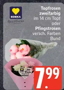 Edeka Edeka topfrosen zweifarbig Angebot