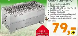 Globus Baumarkt Gasgrill newberry Angebot