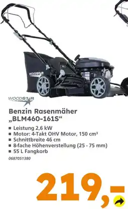 Globus Baumarkt Woodstar benzin rasenmäher blm460-161s Angebot