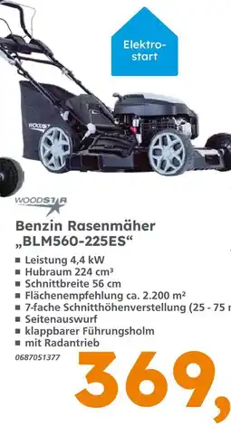 Globus Baumarkt Woodstar benzin rasenmäher blm560-225es Angebot