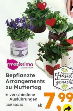 Globus Baumarkt Creatissimo bepflanzte arrangements zu muttertag Angebot