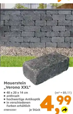 Globus Baumarkt Mauerstein verona xxl Angebot