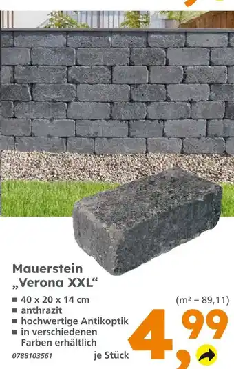 Globus Baumarkt Mauerstein verona xxl Angebot