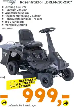 Globus Baumarkt Woodstar rasentraktor brlm610-230 Angebot