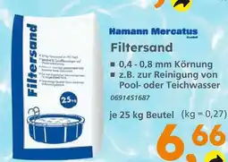 Globus Baumarkt Hamann mercatus gmbh filtersand Angebot