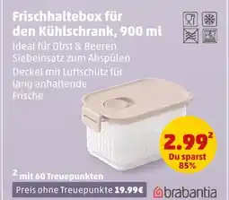 PENNY Brabantia frischhaltebox für den kühlschrank Angebot