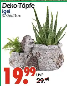Wreesmann Deko-töpfe igel Angebot