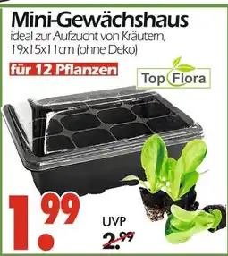 Wreesmann Top flora mini-gewächshaus Angebot