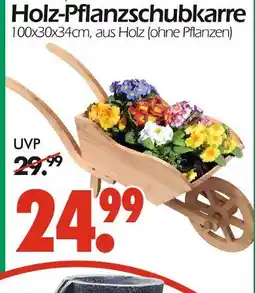 Wreesmann Holz-pflanzschubkarre Angebot
