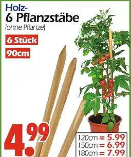 Wreesmann Holz pflanzstäbe Angebot