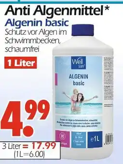 Wreesmann Well san algenin basic Angebot