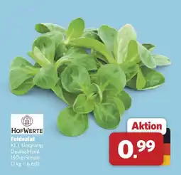 Combi Hofwerte feldsalat Angebot
