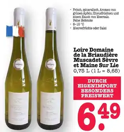 E-Center Loire domaine de la briaudière muscadet sèvre et maine sur lie Angebot
