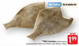 Edeka Msc schollen Angebot