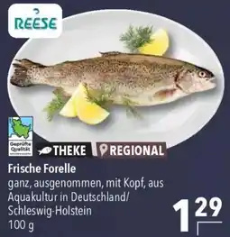 CITTI Markt Frische Forelle Angebot
