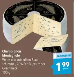 CITTI Markt Champignon Montagnolo Weichkäse Angebot