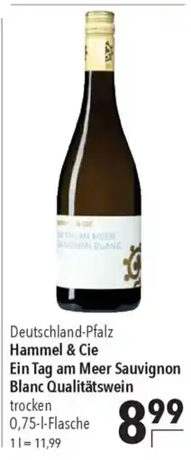 CITTI Markt Hammel & Cie Ein Tag am Meer Sauvignon Blanc Qualitätswein trocken Angebot