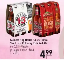 CITTI Markt Guiness Hop House 13 oder Extra Stout oder Kilkenny Irish Red Ale Angebot