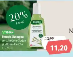 CITTI Markt Rausch Shampoo Angebot