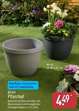 Aldi Nord BELAVI Pflanztopf Angebot
