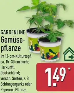 Aldi Nord GARDENLINE Gemüsepflanze Angebot