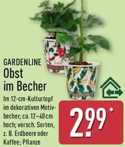 Aldi Nord GARDENLINE Obst im Becher Angebot