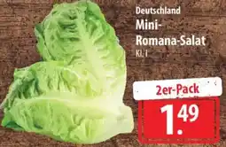 Famila Nord Ost Deutschland Mini Romana-Salat Angebot