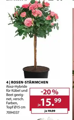 Dehner Rosen stämmchen Angebot