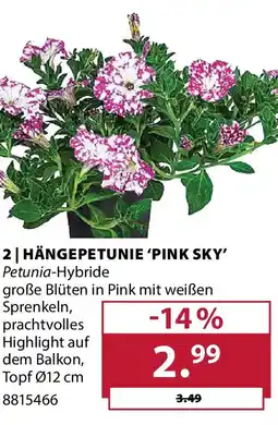 Dehner Hängepetunie 'pink sky' Angebot