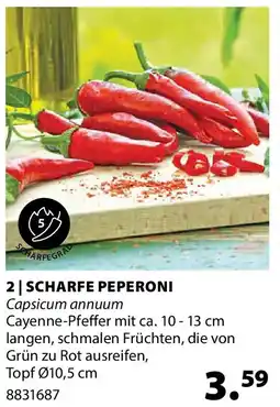 Dehner Scharfe peperoni Angebot