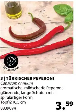 Dehner Türkischer peperoni Angebot