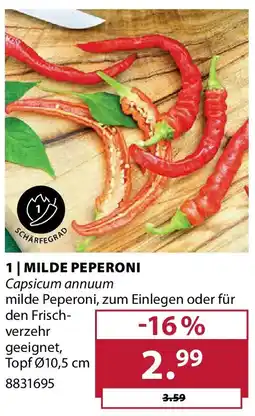 Dehner Milde peperoni Angebot