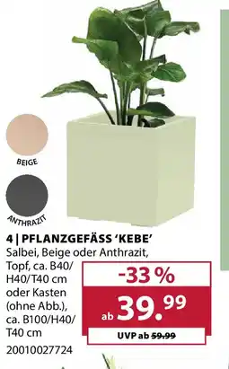Dehner Pflanzgefäss 'kebe' Angebot