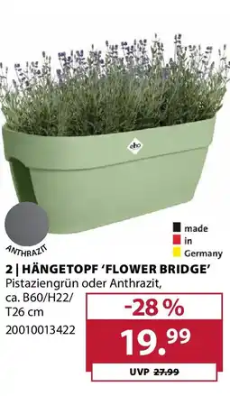 Dehner Hängetopf 'flower bridge' Angebot