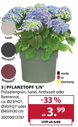 Dehner Pflanztopf 'liv' Angebot