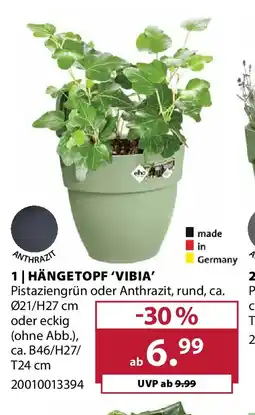 Dehner Hängetopf 'vibia' Angebot