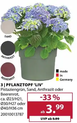Dehner Pflanztopf 'liv' Angebot