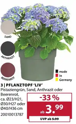 Dehner Pflanztopf 'liv' Angebot