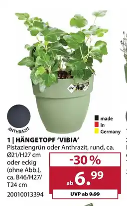 Dehner Hängetopf 'vibia' Angebot
