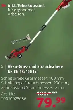Dehner Einhell Akku-Gras- und Strauchschere GE-CG 18/100 Li T Angebot
