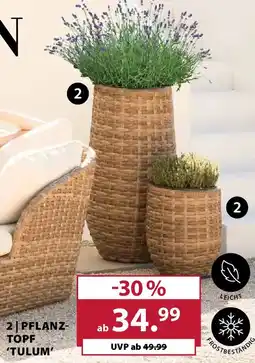 Dehner Pflanztopf tulum' Angebot