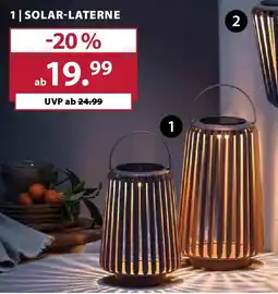 Dehner Solar-laterne Angebot
