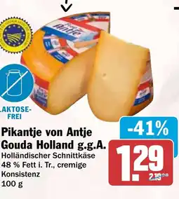 HIT Pikantje von Antje Gouda Holland g.g.A. Angebot